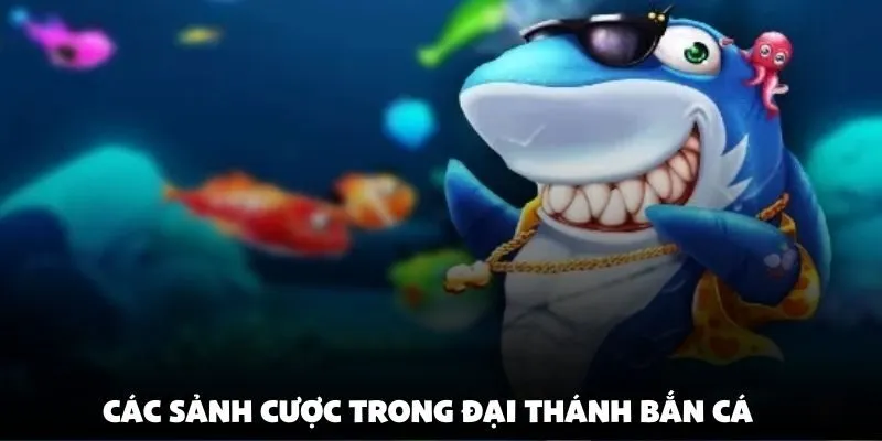 Các sảnh cược trong đại thánh bắn cá