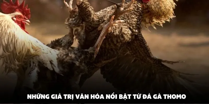 Những giá trị văn hóa nổi bật từ đá gà thomo