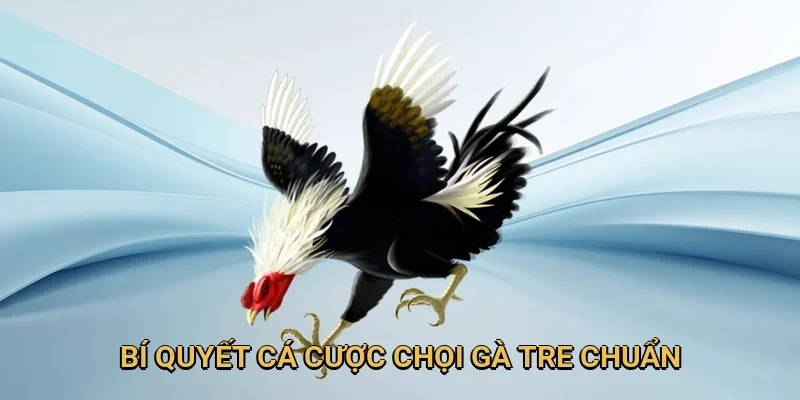 Áp dụng bí quyết cá cược để chọn chiến kê chuẩn