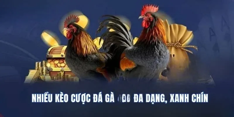 Các cửa cược với nhiều thể loại kèo mang lại đa dạng lựa chọn cho người chơi