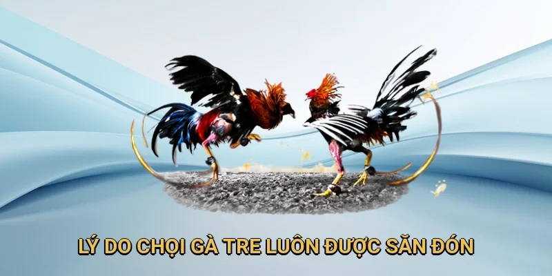 Điểm cuốn hút người chơi của loại hình này