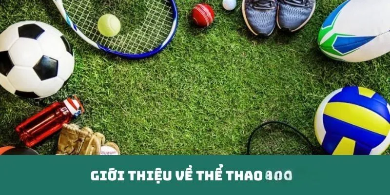 Giới thiệu về sảnh cược hot nhất